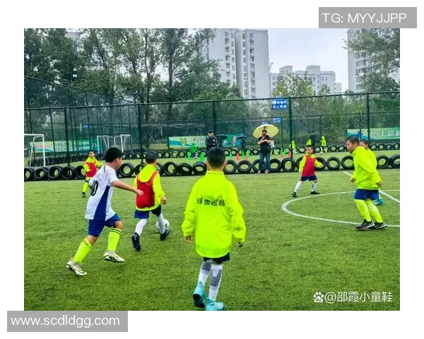 男孩们的足球梦想与成长之路在绿茵场上的拼搏与友谊