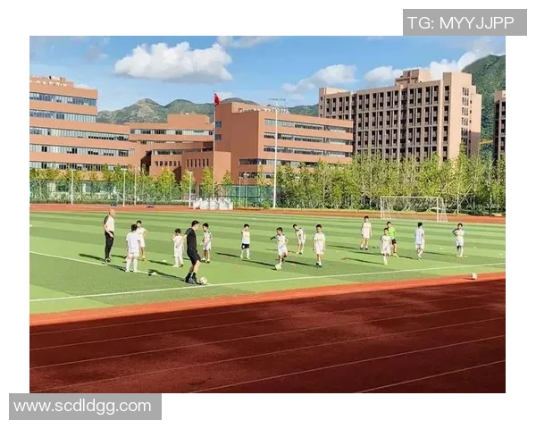 崇阳足球协会携手社区共建足球文化推动青少年健康成长新篇章