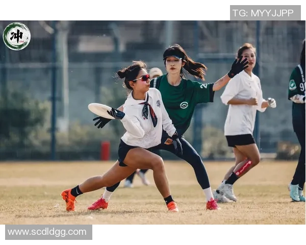 飞盘灵活性排行榜出炉广州飞盘队强势夺冠引领潮流