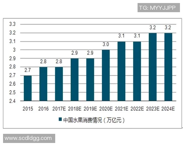2023年全球足球行业发展现状与未来趋势分析报告