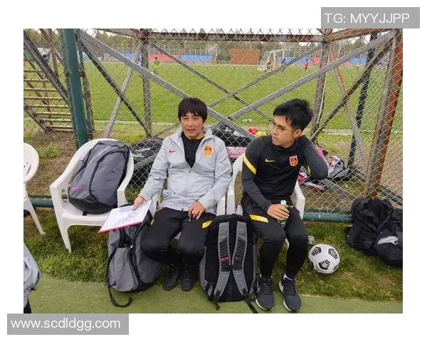 专访杨强：深入探讨足球成功背后的秘诀与策略