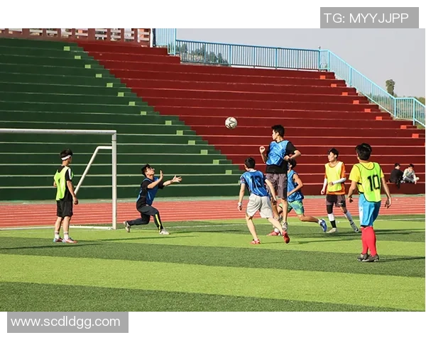 子龙足球：激情与梦想交织的绿茵场上演绎青春的无限可能