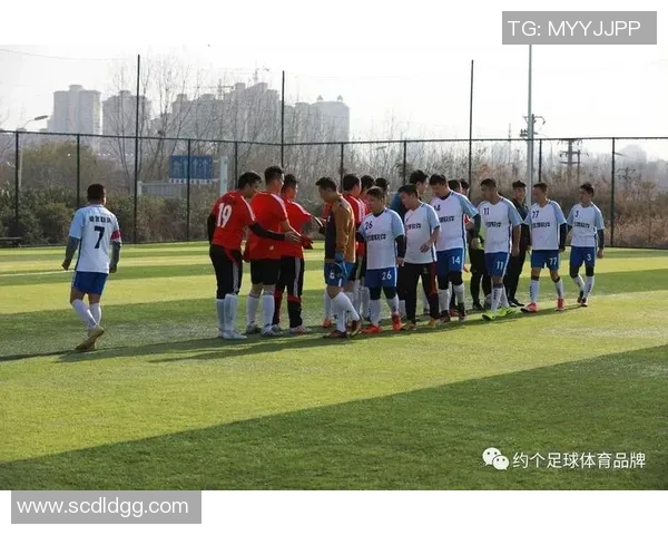 合肥林峰足球训练基地助力青少年足球梦想培养与发展新篇章