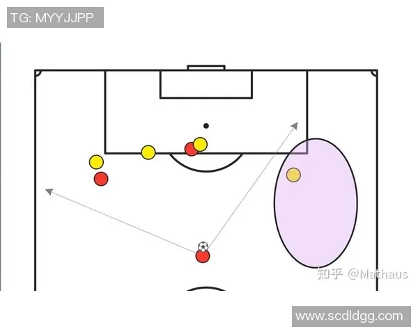 深入分析杭州羽毛球队独特的防守战术与策略解析
