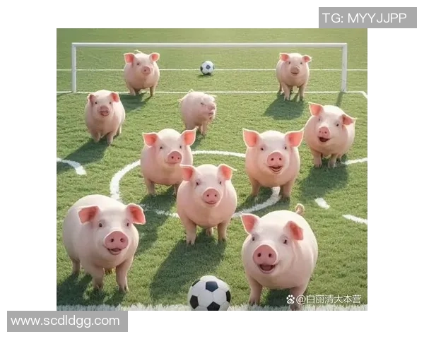 足球与动物的奇妙结合探索一场场精彩的绿茵场上动物们的足球盛宴