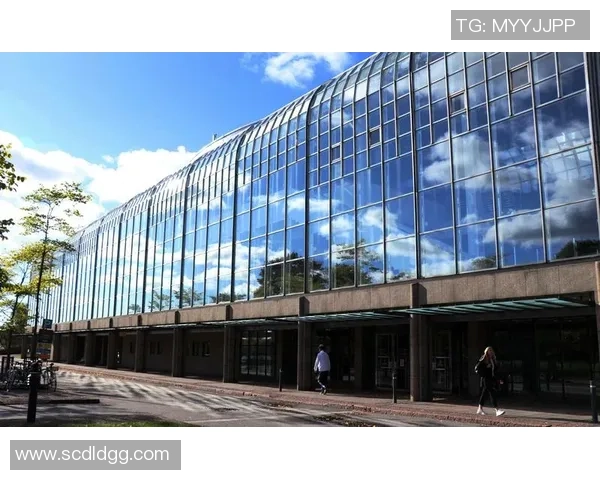 足球大海的波澜壮阔与激情四溢的赛场故事探寻之旅