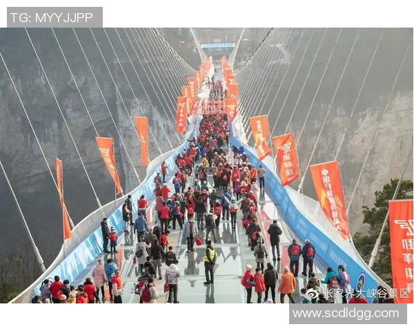 西安极限运动队勇闯极限运动联赛展现不屈精神与逆袭传奇