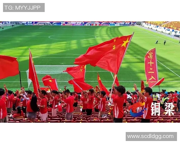 金盾杯足球盛宴开启球迷齐聚共庆激情时刻 金盾杯足球盛宴开启球迷齐聚共庆激情时刻