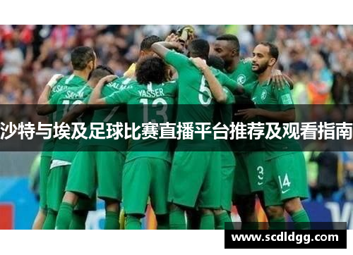 沙特与埃及足球比赛直播平台推荐及观看指南