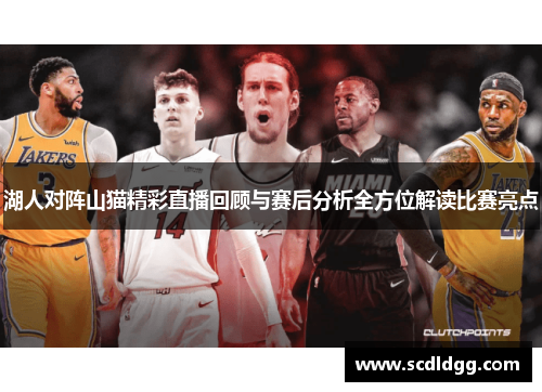 湖人对阵山猫精彩直播回顾与赛后分析全方位解读比赛亮点